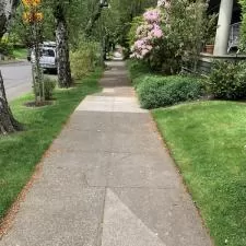 Gutter Cleaning, House Washing, and Pressure Washing on NE 15th Ave in Portland, OR 97212 7
