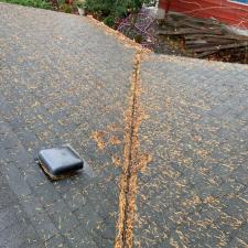 Gutter Cleaning in Portland, OR 5