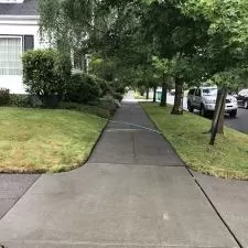 House Washing and Pressure Washing on NE 57th Ave in Portland, OR 9
