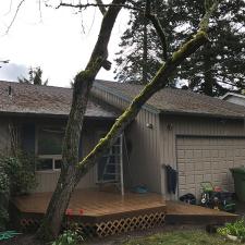 Roof Cleaning and Gutter Cleaning on Bullock St. in Lake Oswego, OR
