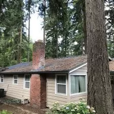 Roof Cleaning, Gutter Cleaning, Gutter Filter Installation, House Washing, Pressure Washing, and Window Washing on Lake Forest Blvd in Lake Oswego, OR 4
