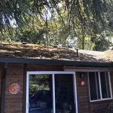 Roof Cleaning, Gutter Cleaning, House Washing, and Window Washing on Fairview Way in West Linn, OR 3