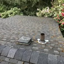 Roof Cleaning and Gutter Cleaning on SW Fairview Blvd in Portland, OR 1