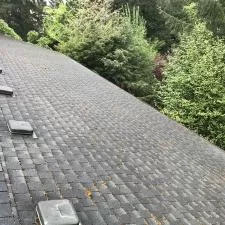 Roof Cleaning and Gutter Cleaning on SW Fairview Blvd in Portland, OR 2