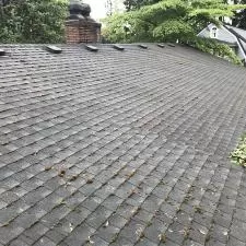 Roof Cleaning and Gutter Cleaning on SW Fairview Blvd in Portland, OR 3