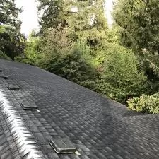 Roof Cleaning and Gutter Cleaning on SW Fairview Blvd in Portland, OR 5