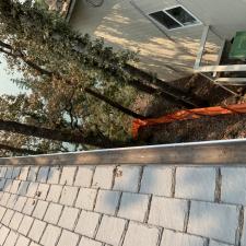 Gutter Cleaning on Summit Dr in Lake Oswego, OR 17